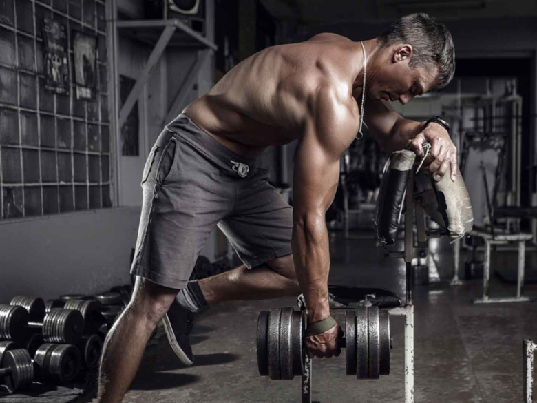 MUSCULATION